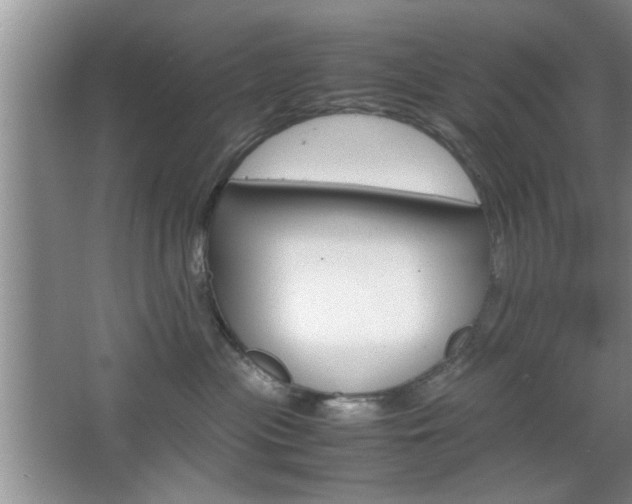 X0000067870477200604131019