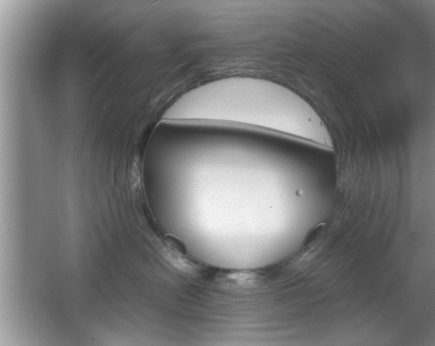 X0000067870478200604131019