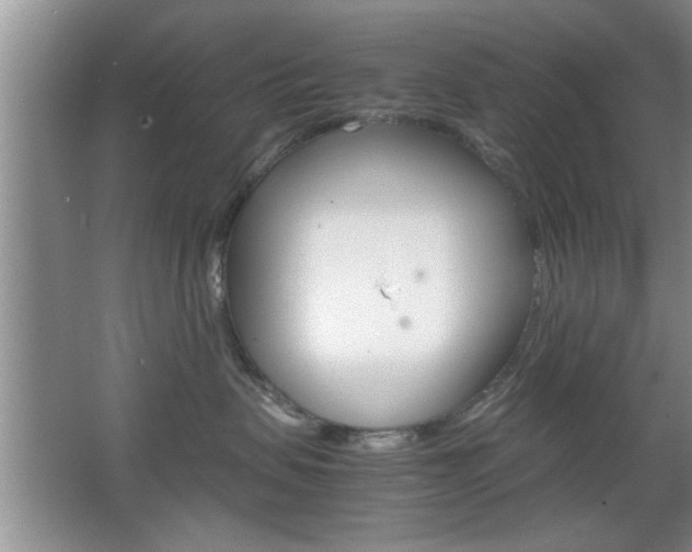 X0000067870479200604131019