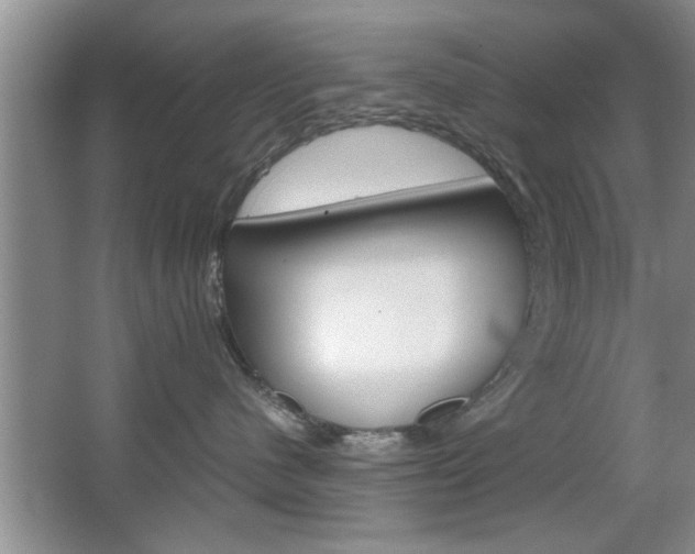 X0000067870480200604131019