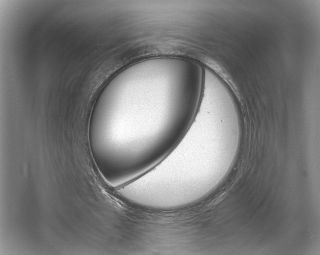 X0000067870481200604131019