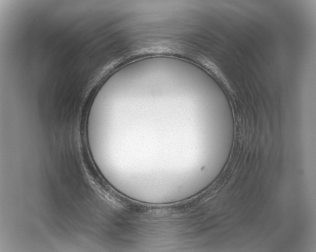 X0000067870482200604131019