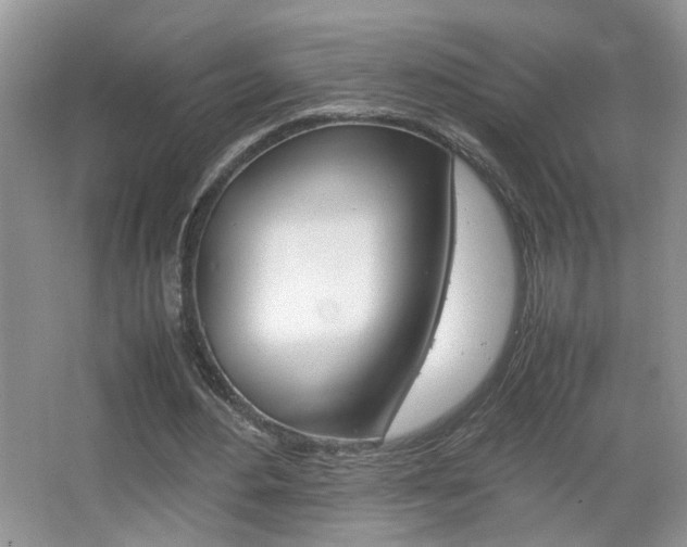 X0000067870484200604131018