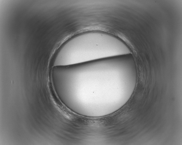 X0000067870486200604131018