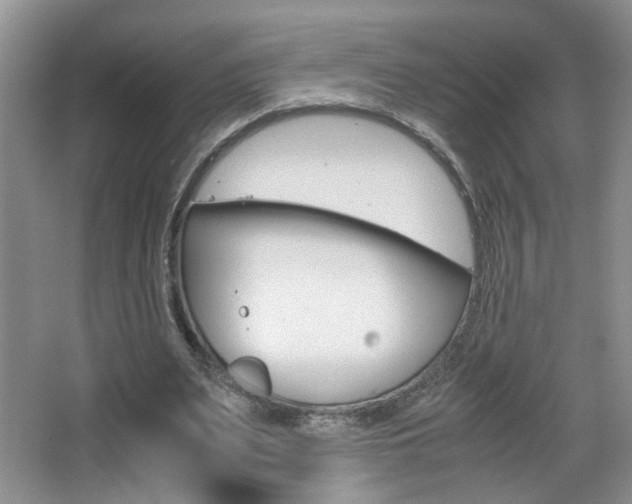 X0000067870487200604131018