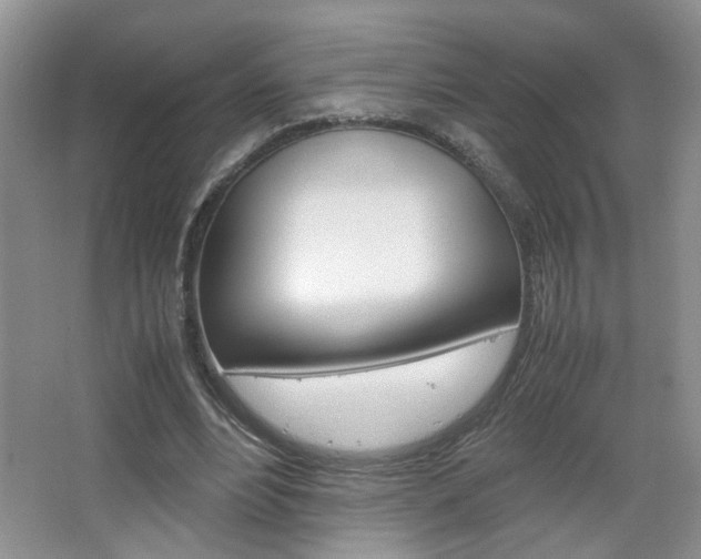 X0000067870488200604131018