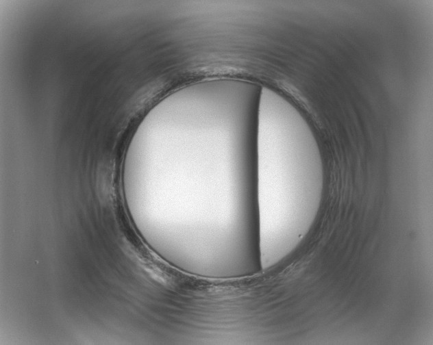 X0000067870490200604131018