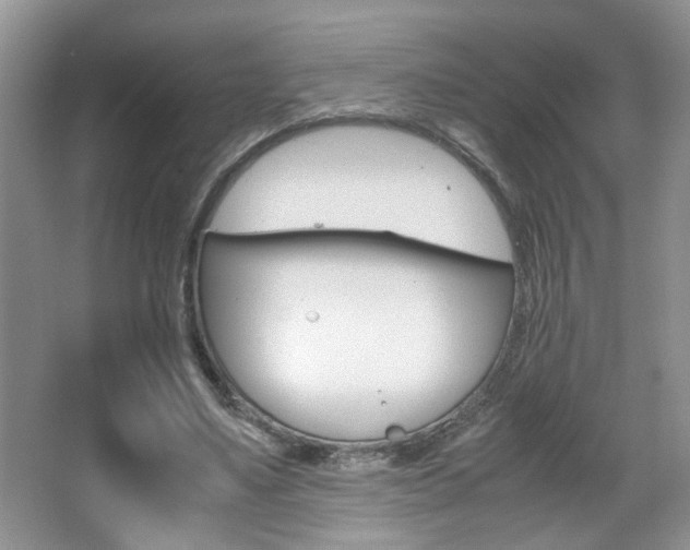 X0000067870491200604131018