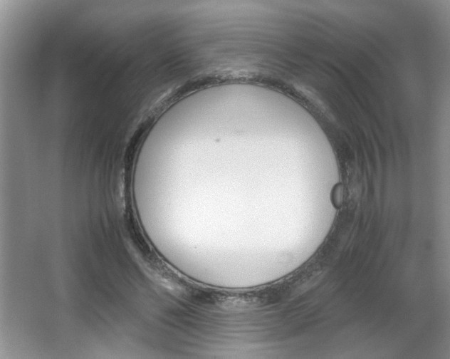 X0000067870494200604131018