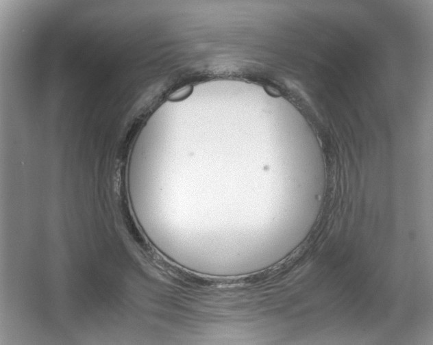 X0000067870495200604131018