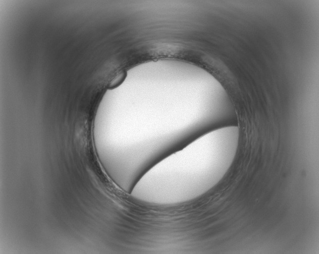 X0000067870498200604131018