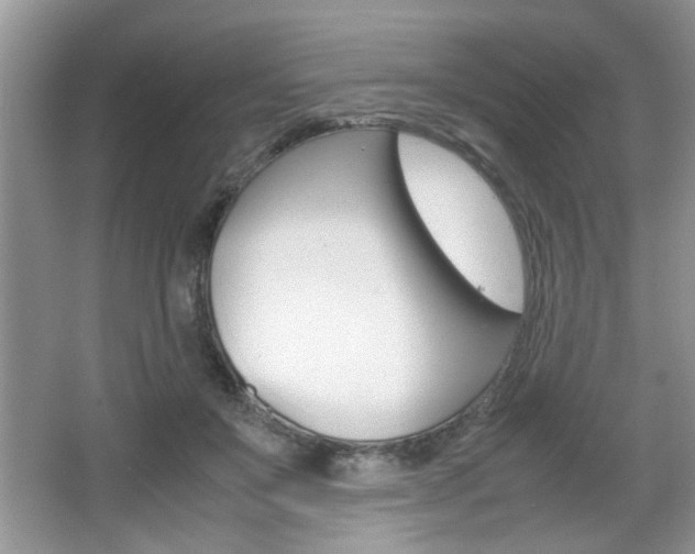 X0000067870503200604131018