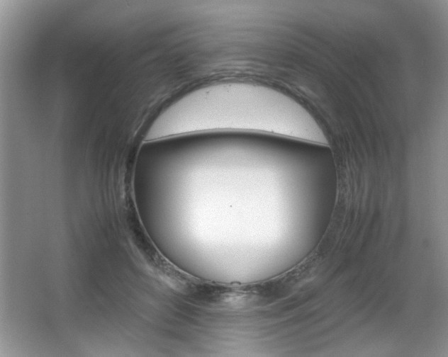 X0000067870504200604131018