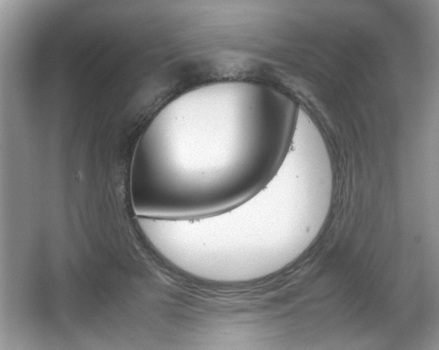 X0000067870505200604131018