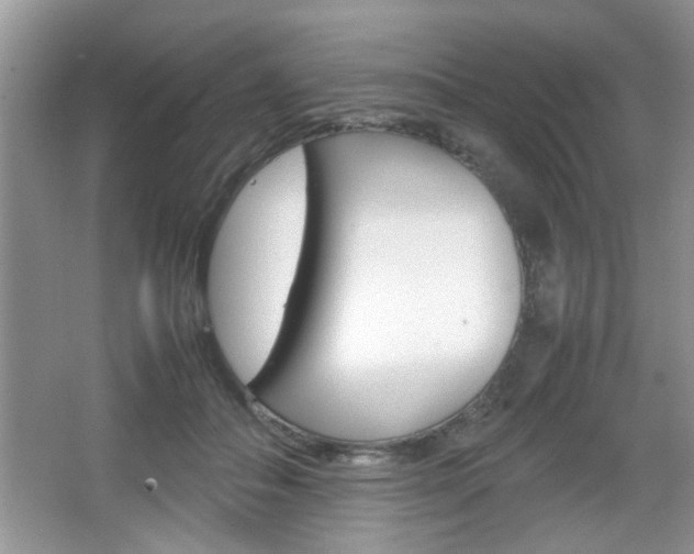 X0000067870506200604131018