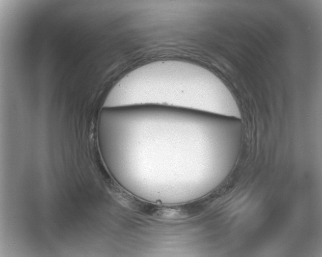 X0000067870507200604131018