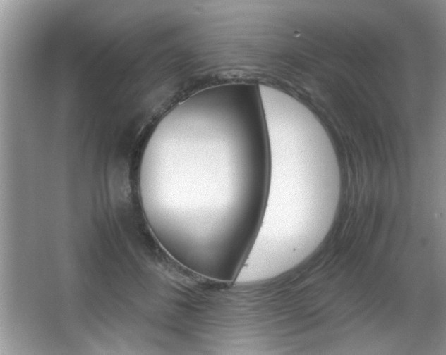 X0000067870508200604131018