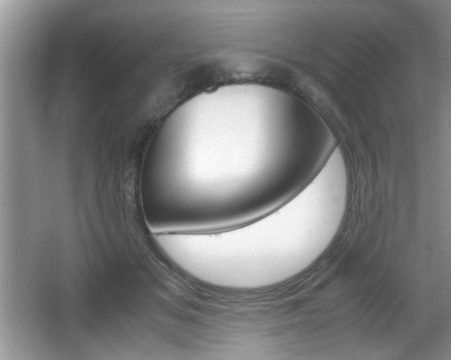 X0000067870509200604131018