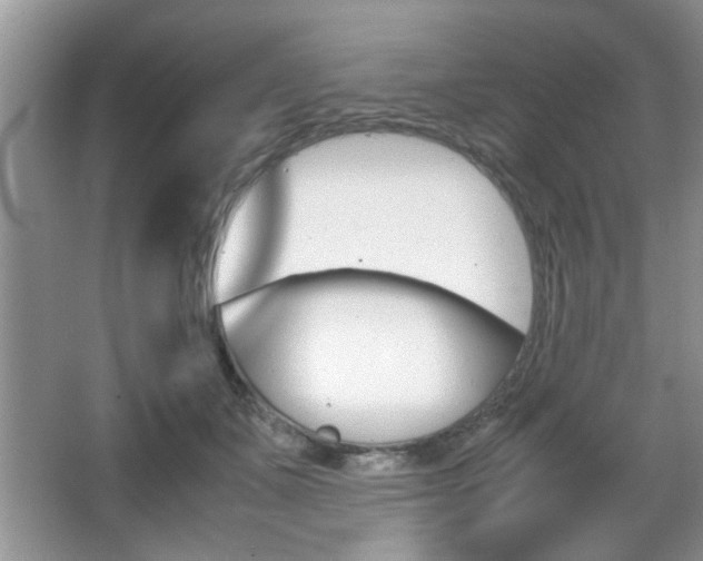 X0000067870511200604131018