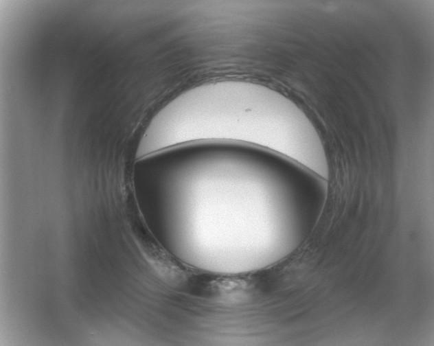 X0000067870512200604131018