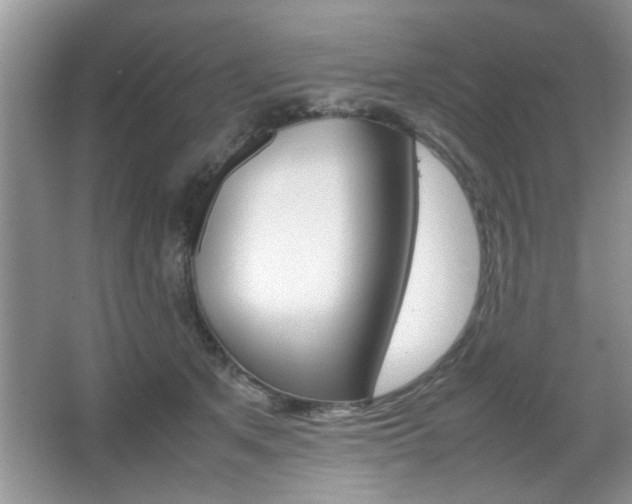 X0000067870513200604131018