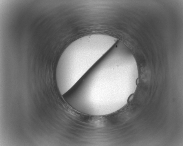 X0000067870514200604131018