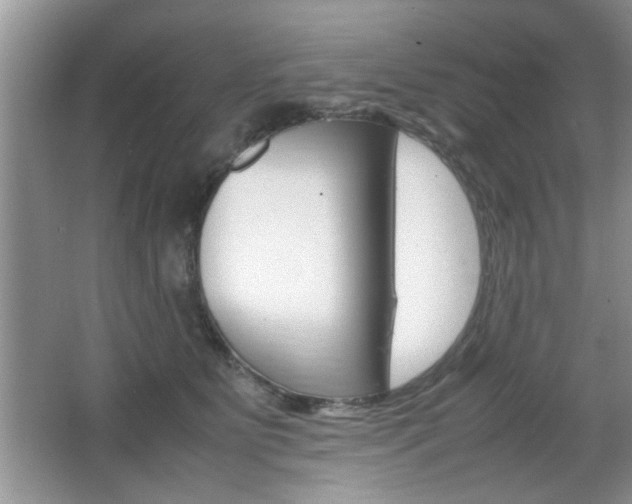 X0000067870515200604131018