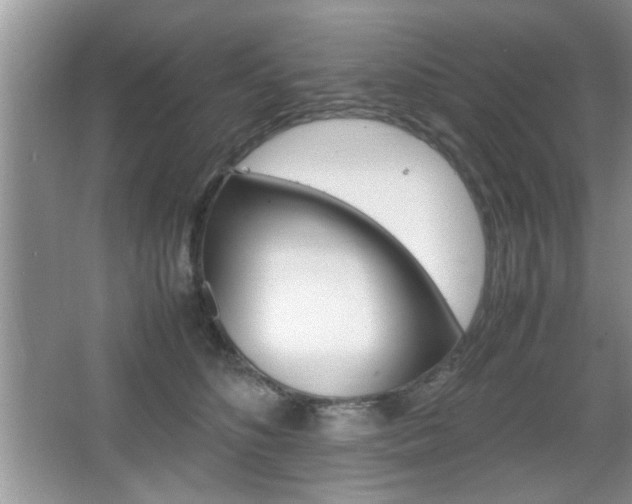 X0000067870516200604131018