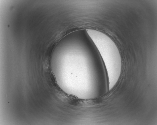 X0000067870517200604131018