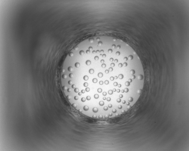 X0000067870519200604131018