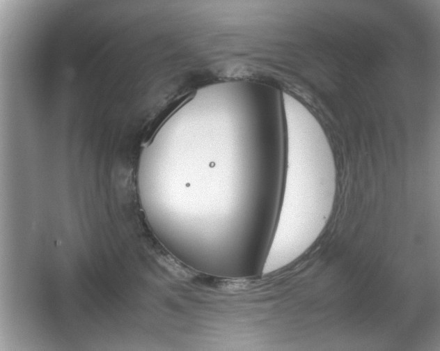 X0000067870521200604131018