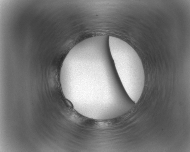 X0000067870522200604131018