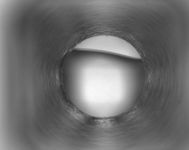 X0000067870524200604131018