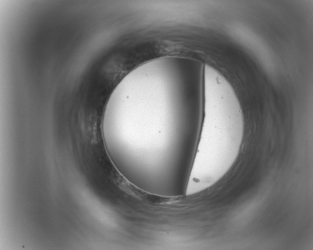 X0000067870525200604131018