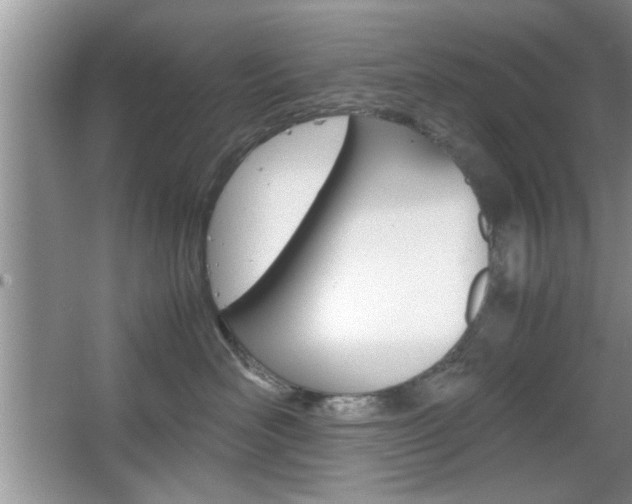 X0000067870526200604131018