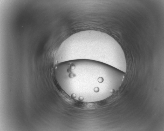 X0000067870527200604131018