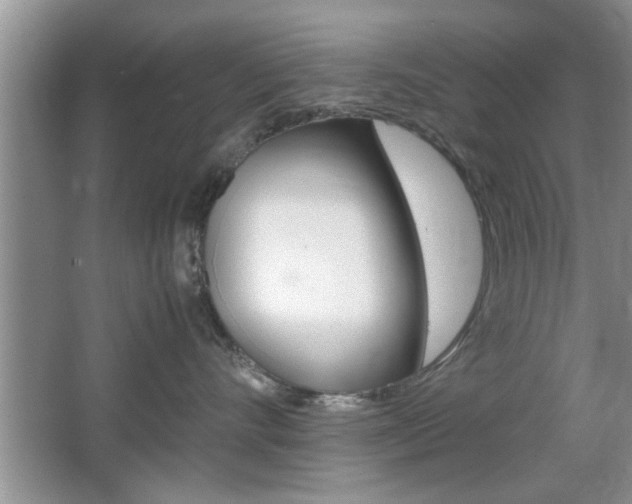 X0000067870528200604131018