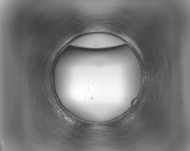 X0000067870529200604131017