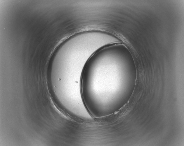 X0000067870530200604131017