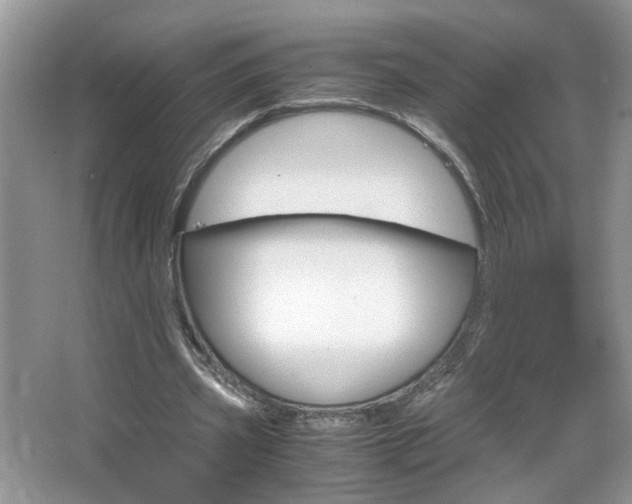 X0000067870533200604131017