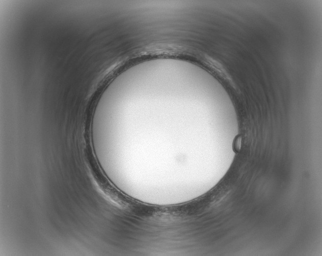 X0000067870538200604131017