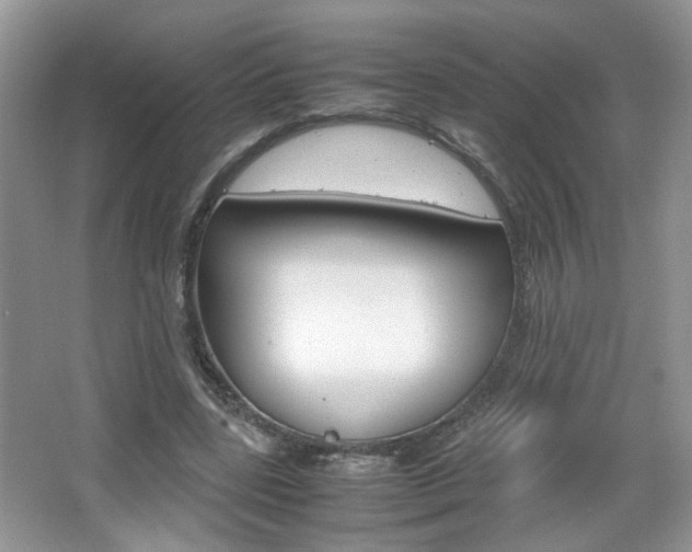 X0000067870539200604131017