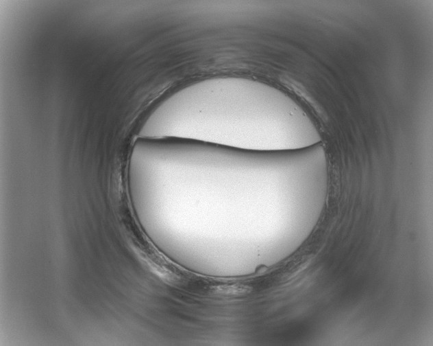 X0000067870541200604131017