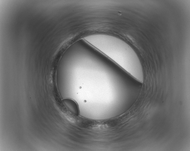 X0000067870543200604131017