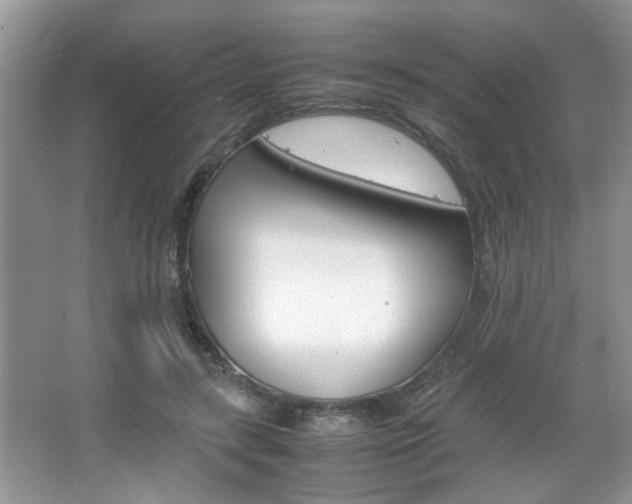 X0000067870547200604131017