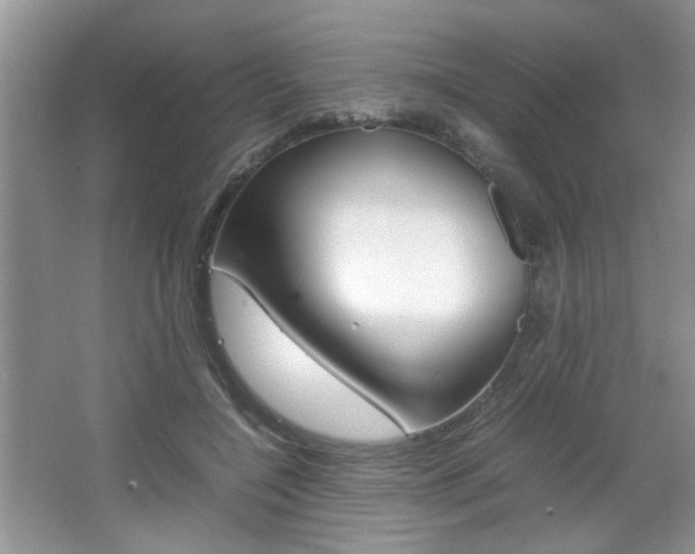 X0000067870548200604131017