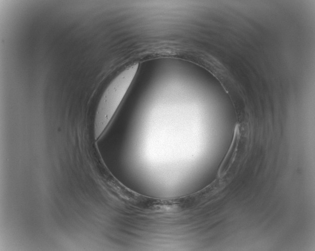 X0000067870552200604131017