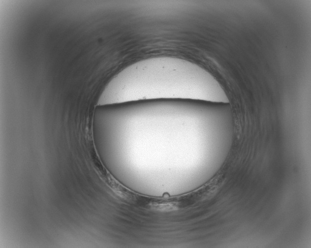 X0000067870553200604131017