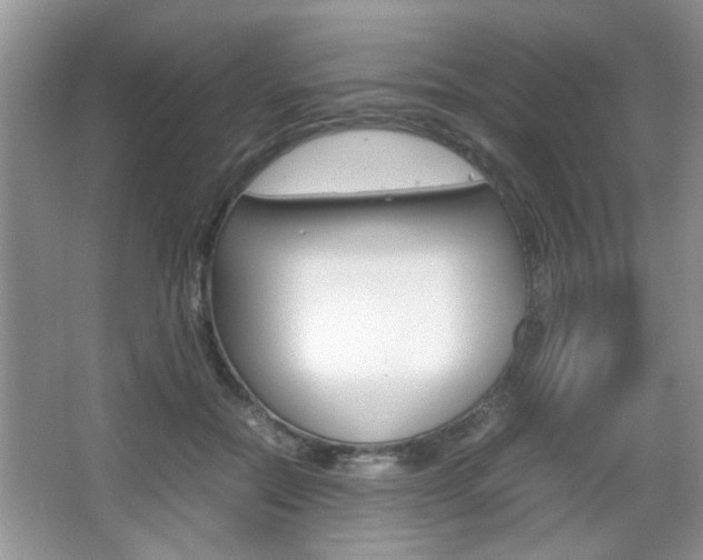 X0000067870554200604131017