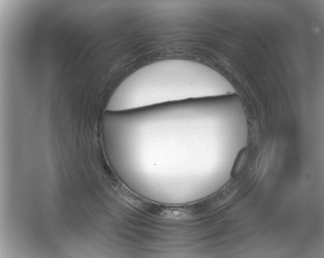 X0000067870557200604131017